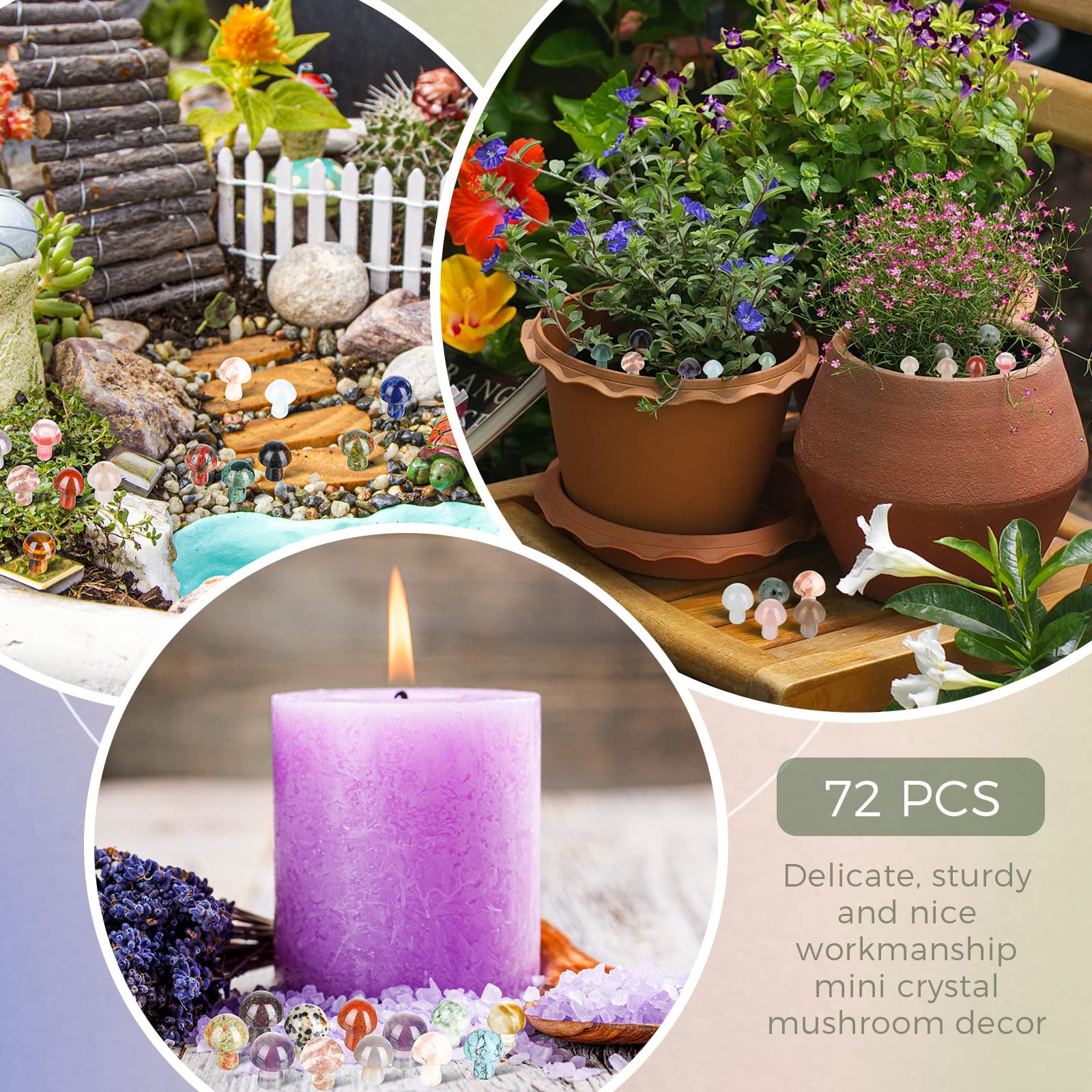 Nuanchu mushroom crystals arranged in a terrarium, enhances miniature garden appeal