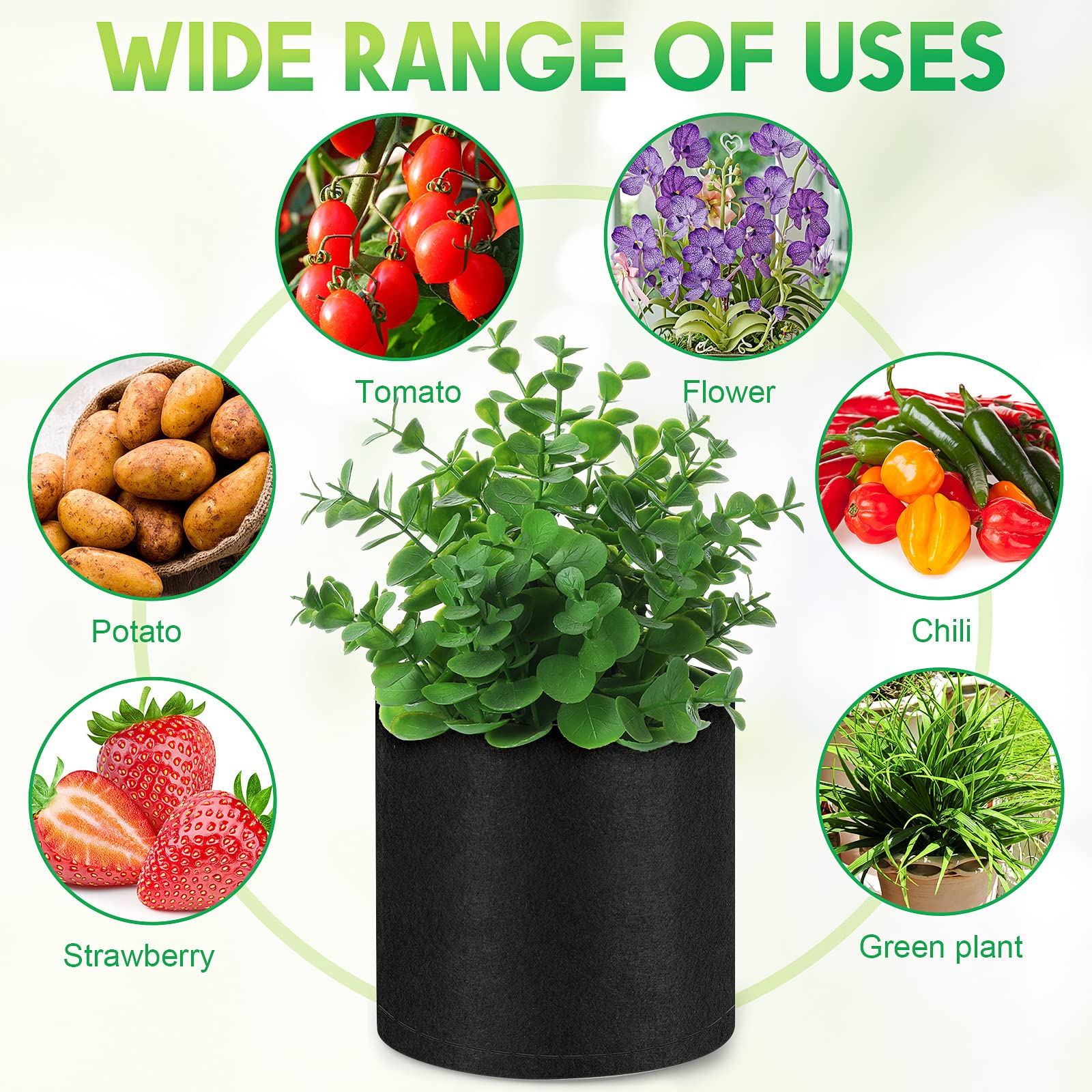 Nuanchu multiple pots with vegetables on balcony maximizing small-space yield