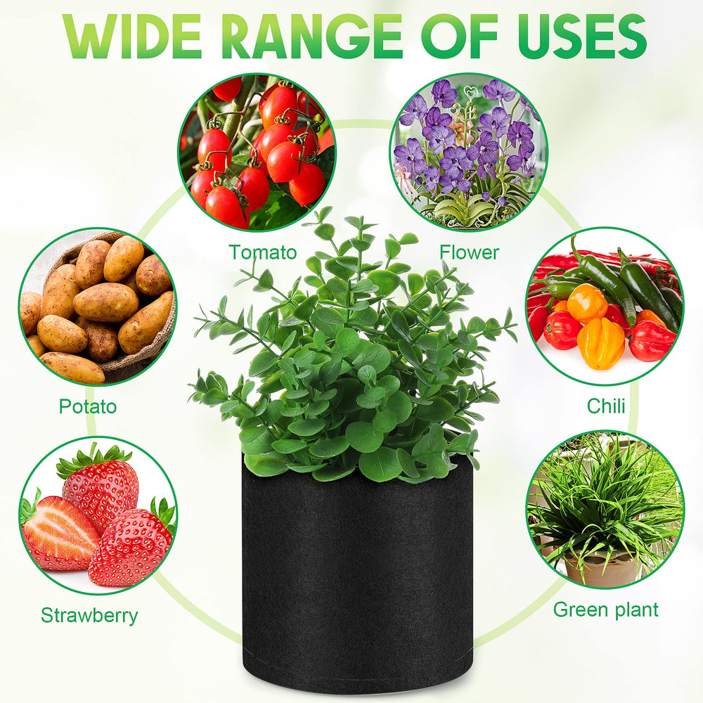 Nuanchu multiple pots with vegetables on balcony maximizing small-space yield