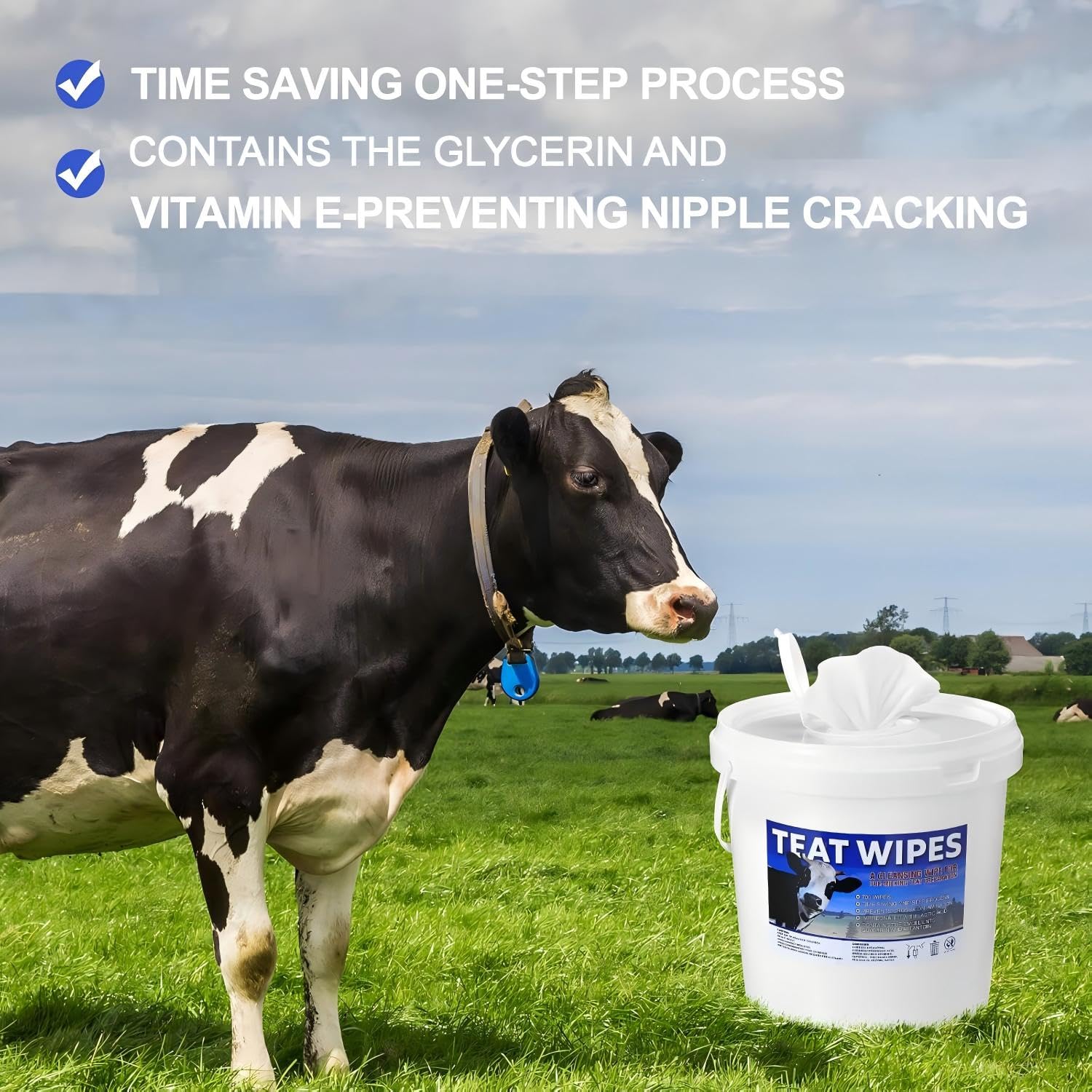 Nuanchu wipe demonstrated cleaning goat udder delivering hygienic prep benefit