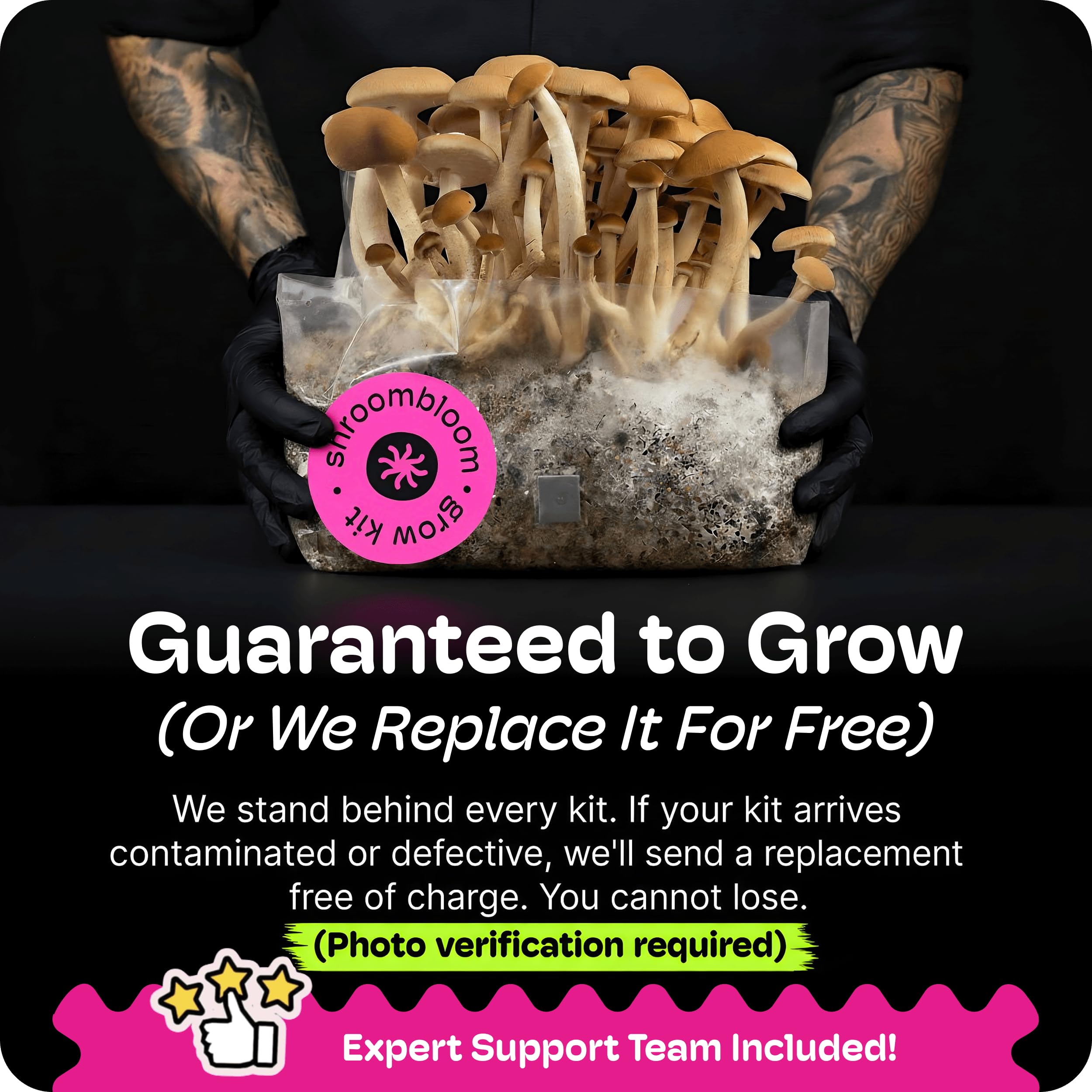 NuBlume kit in a simple home grow setup for easy multi-flush harvests
