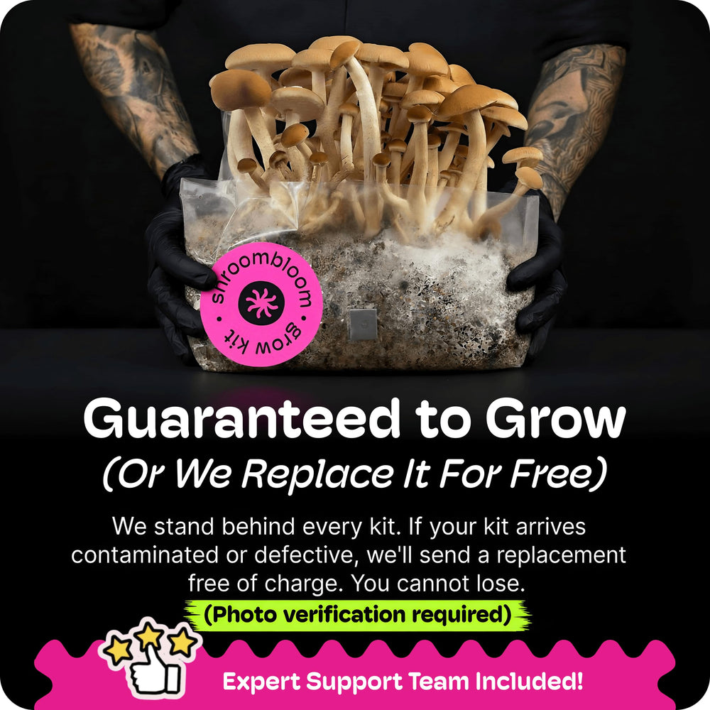 NuBlume kit in a simple home grow setup for easy multi-flush harvests
