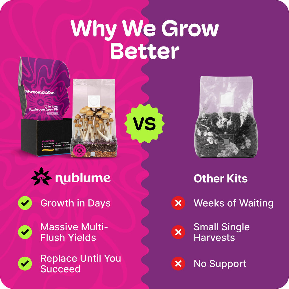 NuBlume 4LB bag next to household item showing scale and capacity