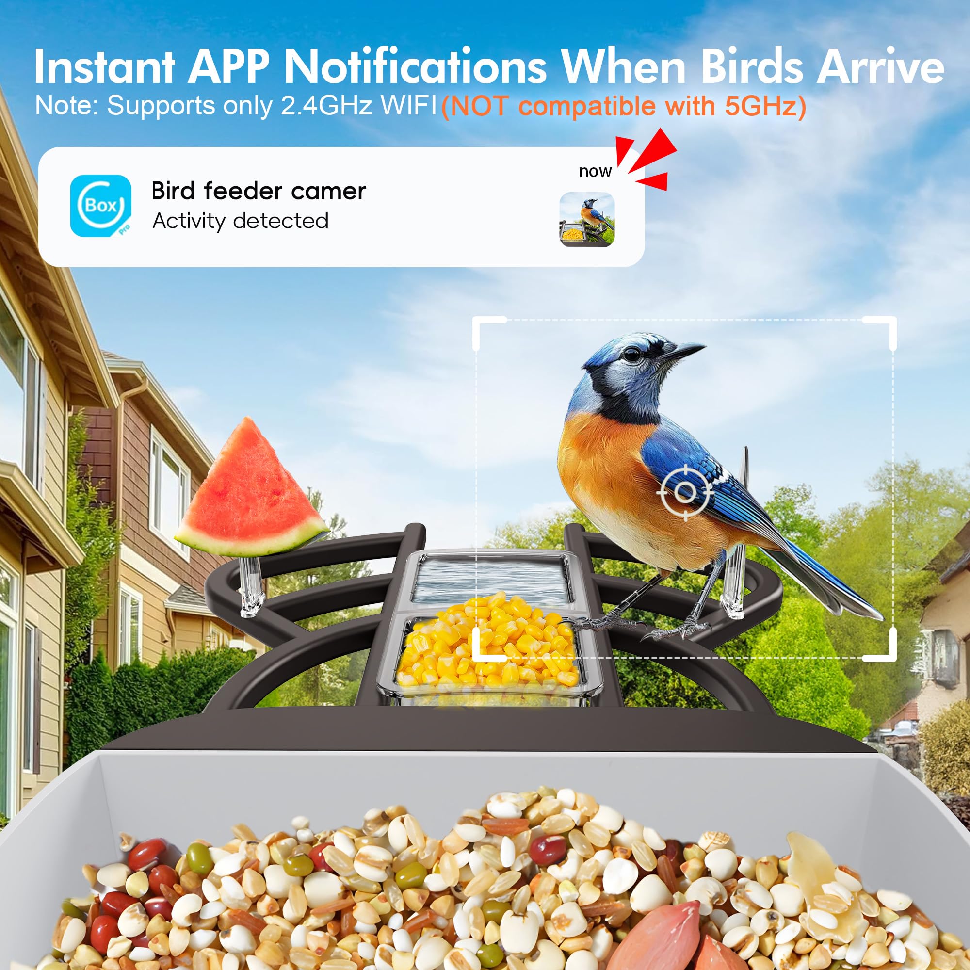 Nuctove app live view on smartphone for instant birdwatching and alerts