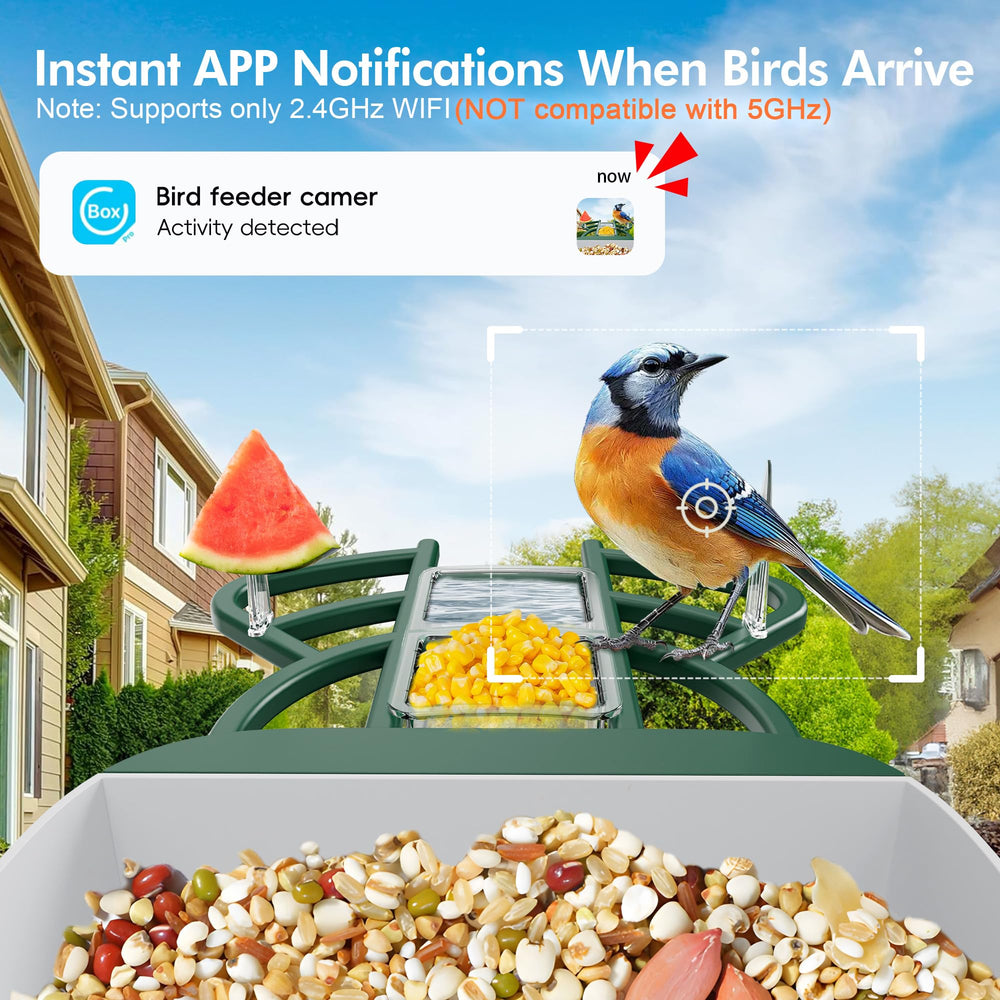 Nuctove feeder contents with fruit forks and hummingbird feeder for food variety