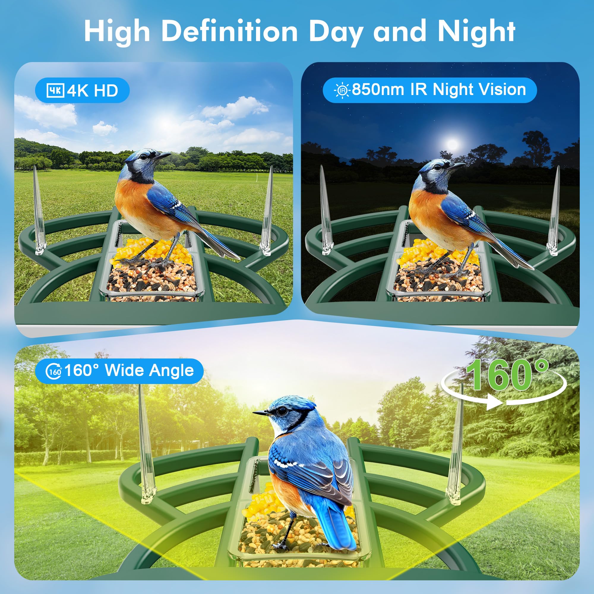 Nuctove feeder in use with bird perched demonstrating instant capture alerts
