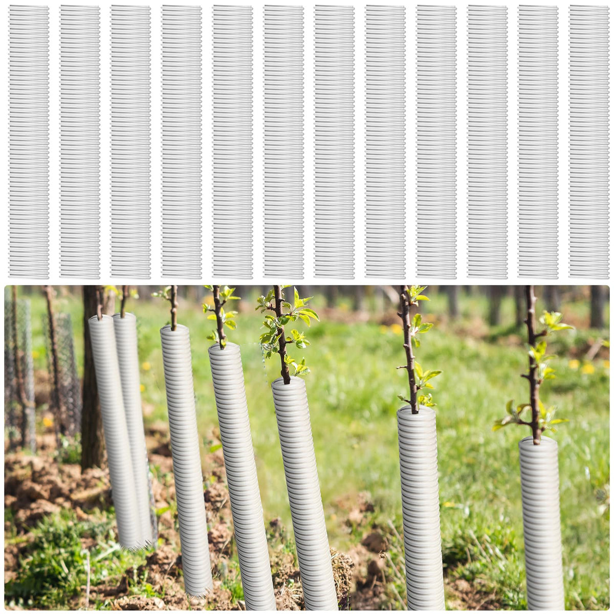 Nuenen front view of 12-pack white corrugated tree guards, convenient bulk protection