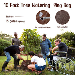 Nuogo ring installed around a tree trunk delivering slow, deep root watering benefits