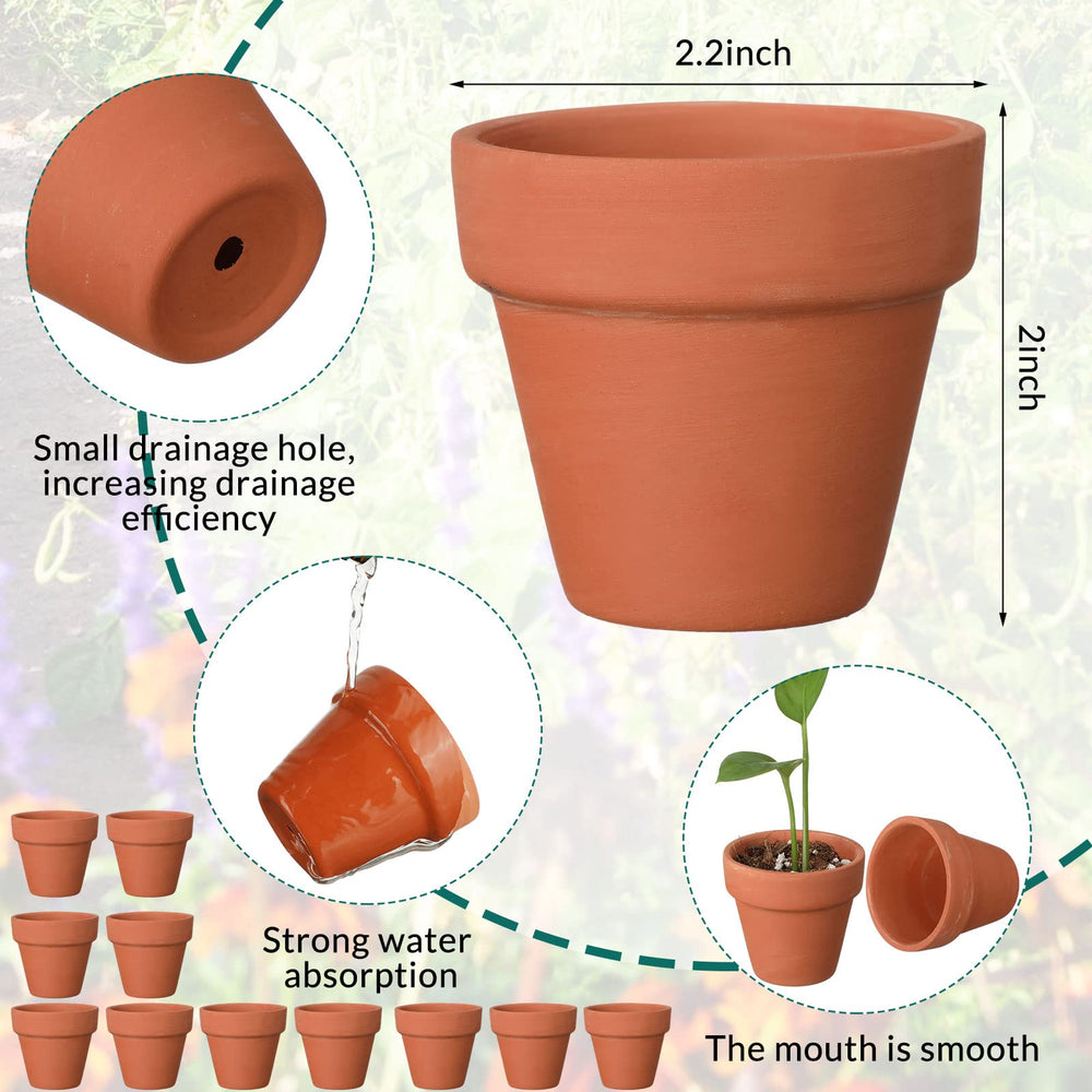 Nuogo close-up of a single mini 2-inch terracotta pot highlighting texture and airflow benefit