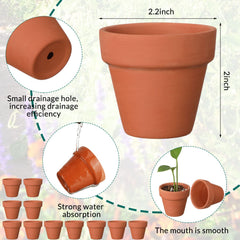 Nuogo close-up of a single mini 2-inch terracotta pot highlighting texture and airflow benefit
