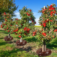 Nuogo ring beside a gallon container showing 15-gallon capacity for extended irrigation