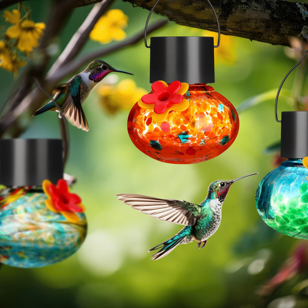 Nuogo feeder held in hand to show compact 3.54-inch size for small spaces