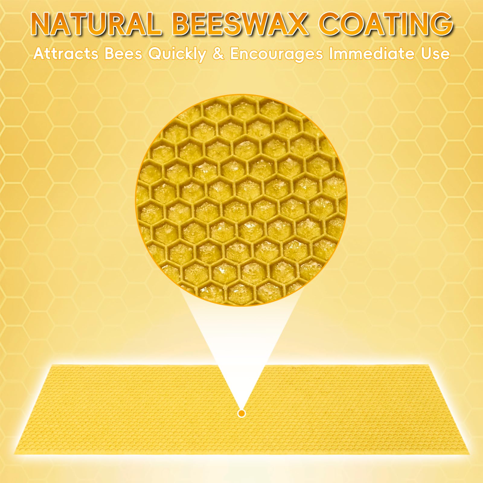 NUOMIC detailed hex honeycomb pattern guiding bees for uniform comb
