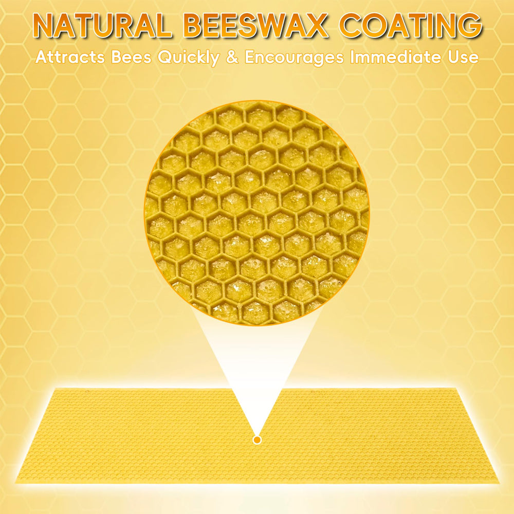 NUOMIC detailed hex honeycomb pattern guiding bees for uniform comb