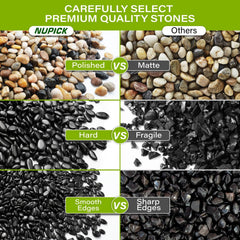 NUPICK pebbles used as top dressing on a succulent for moisture control