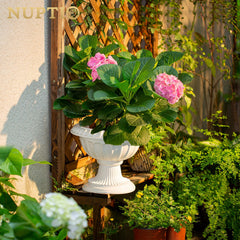 NUPTIO side profile of pedestal planter highlighting silhouette and stability