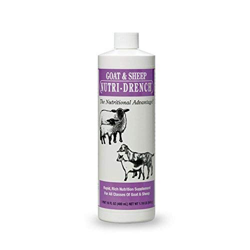 NUTRI-DRENCH front label on 16 oz bottle showing product and fast energy benefits