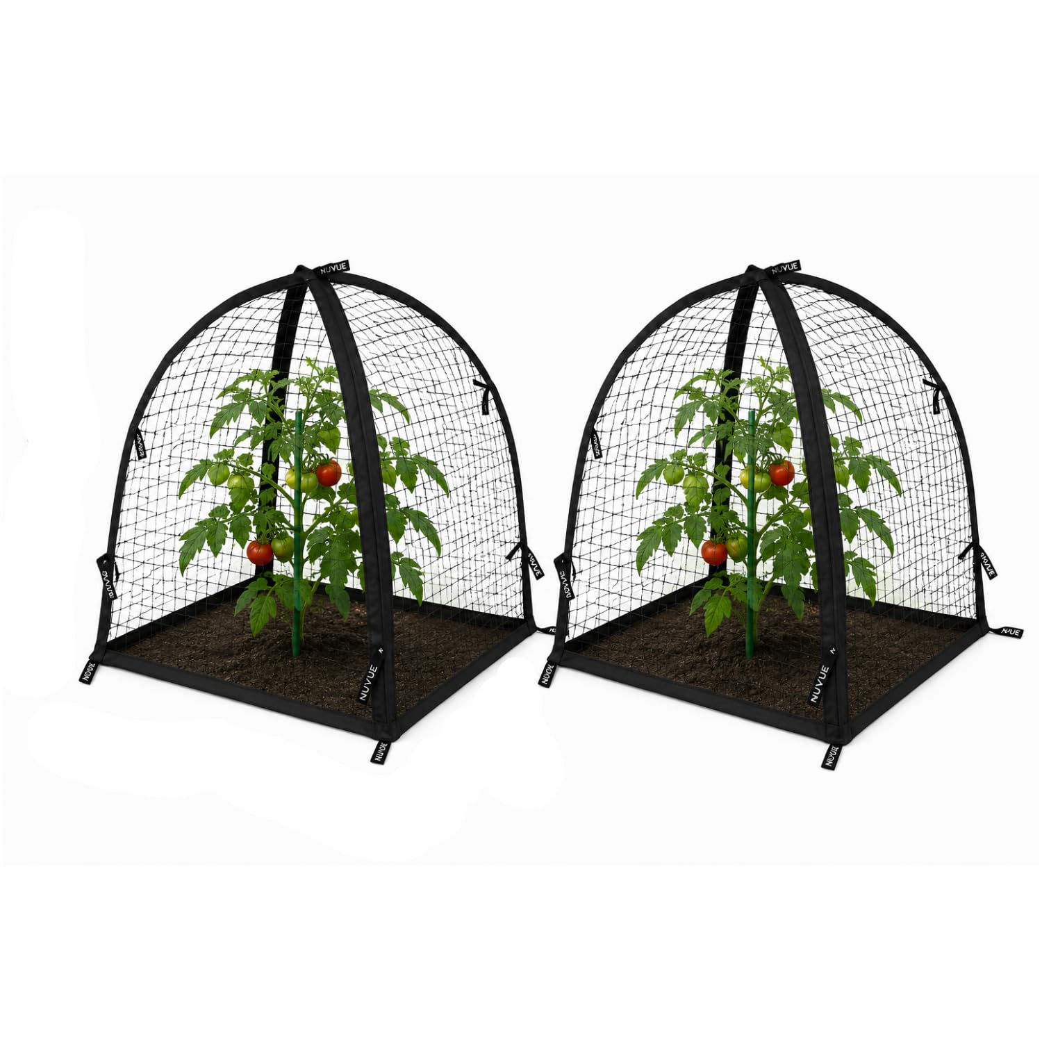 NuVue front view of pop-up cover protecting plant, clear protection