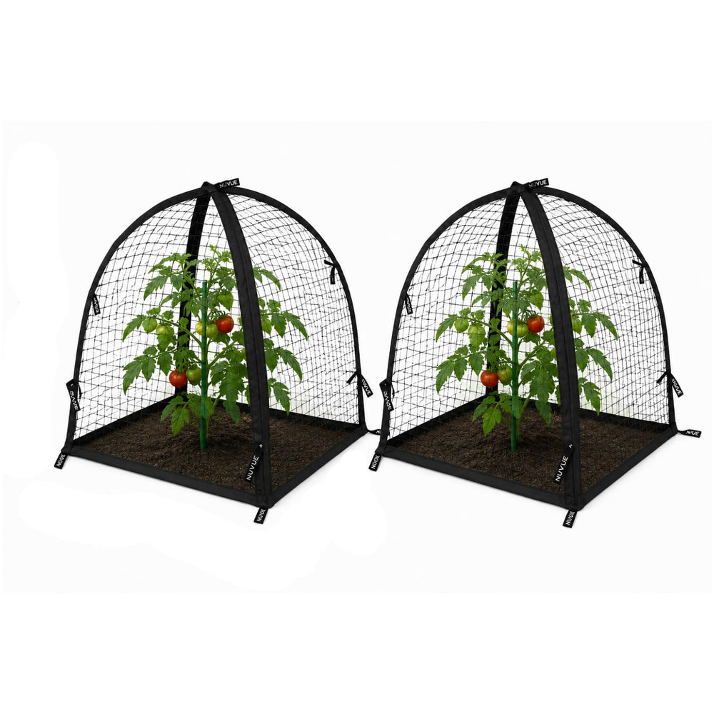 NuVue front view of pop-up cover protecting plant, clear protection