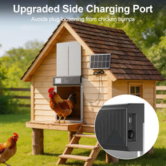 NyPots door opening with chickens using the larger 9.5x10.9 inch entrance
