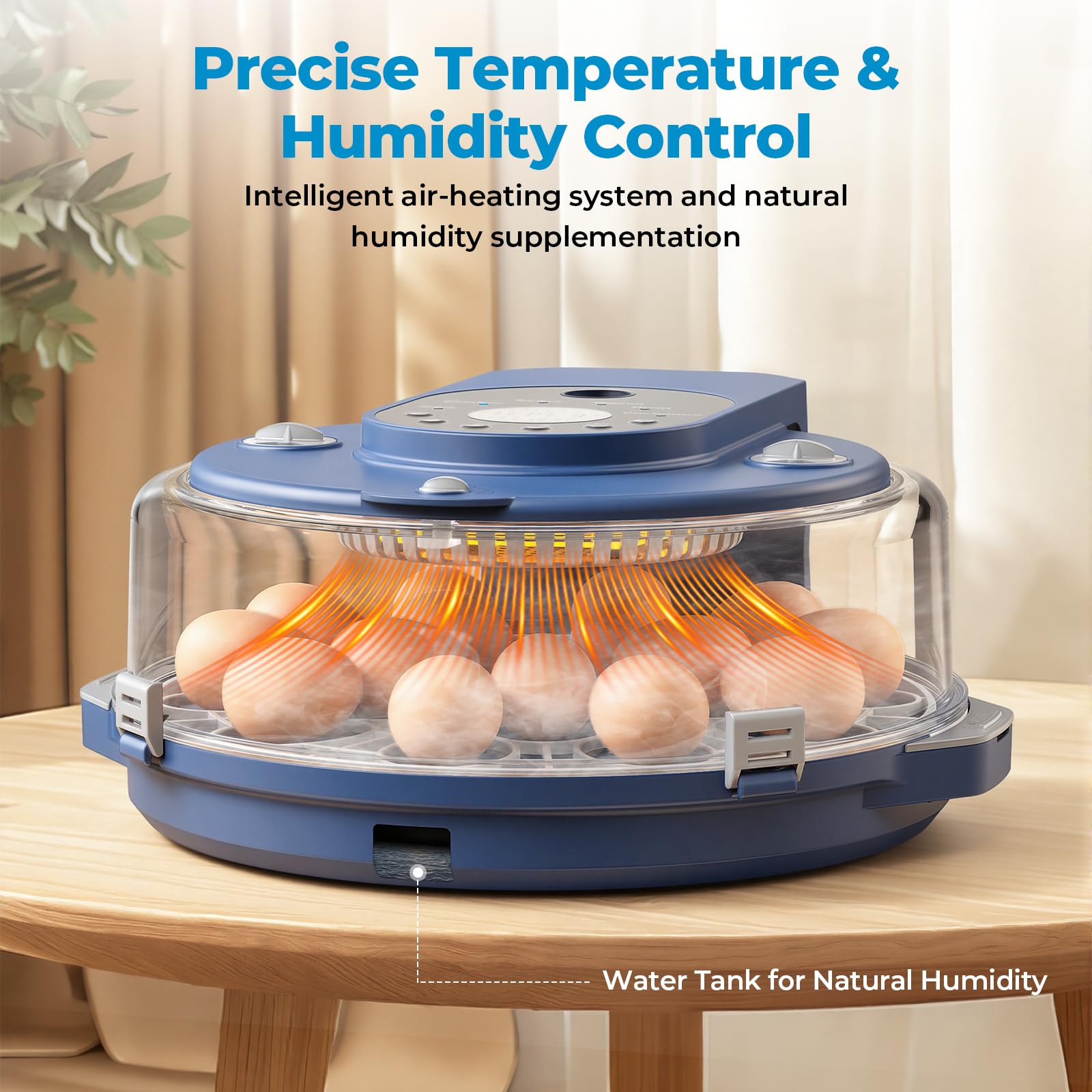 NyPots close-up of egg tray demonstrating secure fit and size versatility