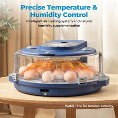 NyPots close-up of egg tray demonstrating secure fit and size versatility