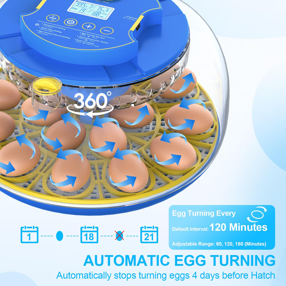 NyPots removable egg trays displaying capacity for different egg sizes benefit
