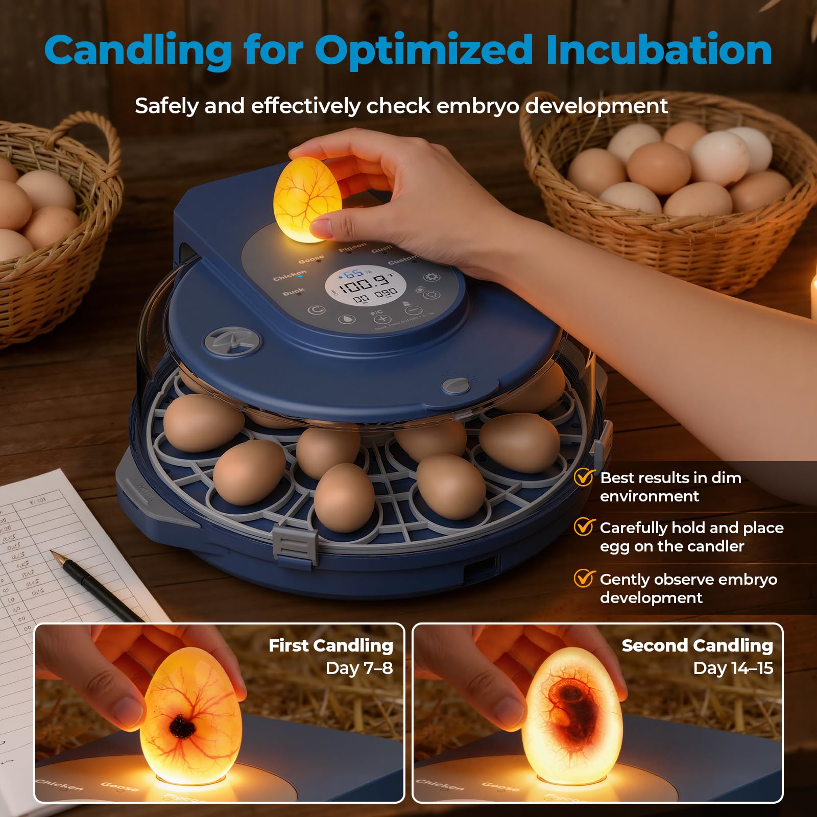 NyPots internal turning mechanism in action to ensure even embryo development