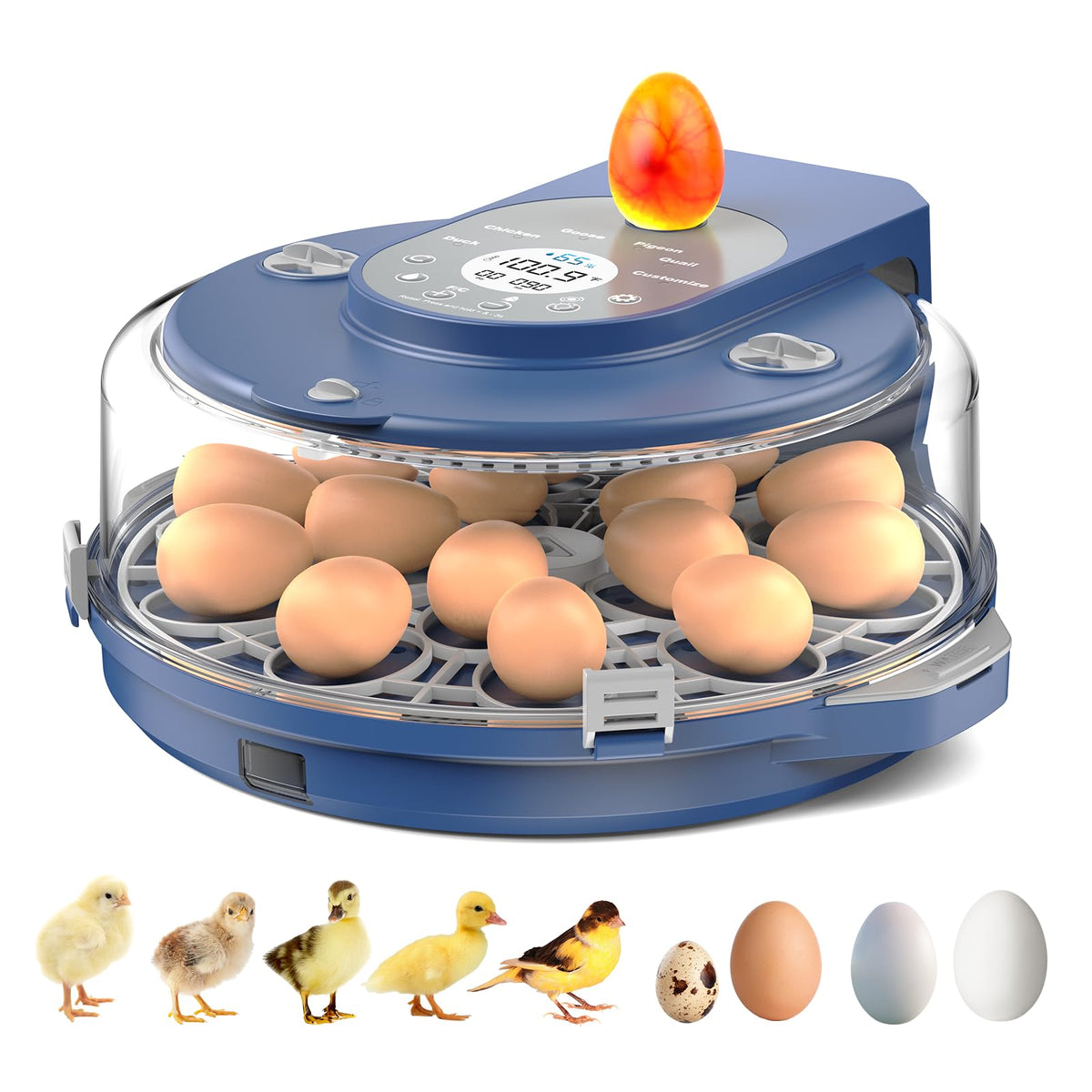 NyPots front view showing compact incubator and full visibility benefit