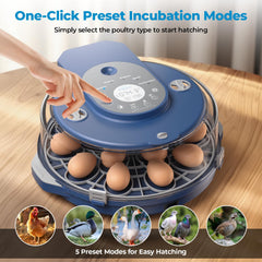 NyPots top view with interchangeable tray inserted for easy egg organization
