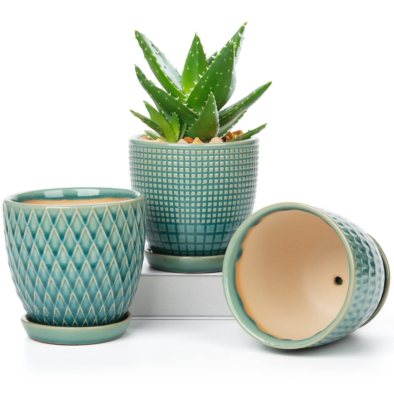 Oairse planter sitting on saucer with succulent, protecting table surface from water