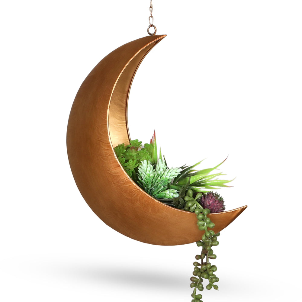 Oakadoaks moon planter presented as gift idea for plant lovers and celebrations