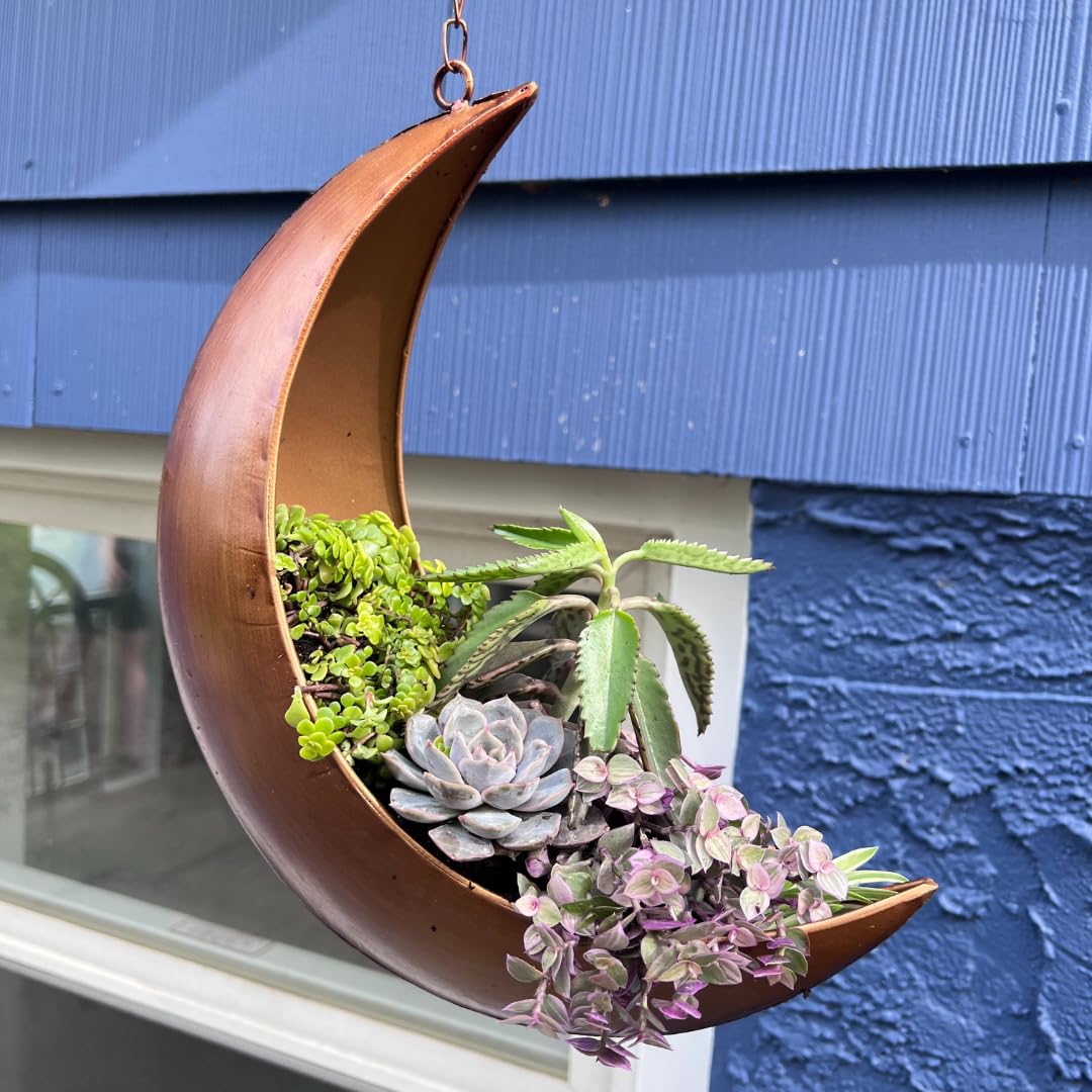 Oakadoaks moon planter styled in bedroom creating calming celestial vibe