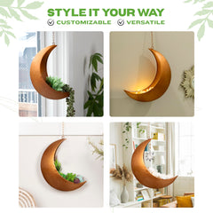 Oakadoaks moon planter planted with succulents showing compact greenery display