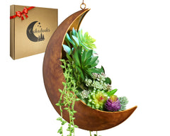 Oakadoaks front view of crescent moon planter showing size and style benefit