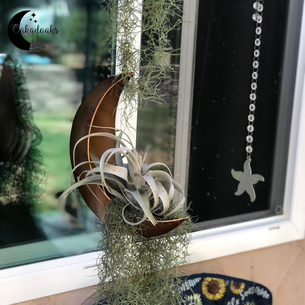 Oakadoaks planter hanging on covered porch illustrating sheltered outdoor use benefit