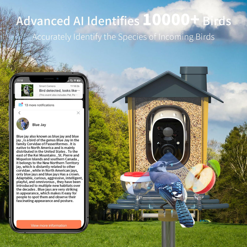 oddkont mounted on backyard post with birds visiting, enabling remote observation