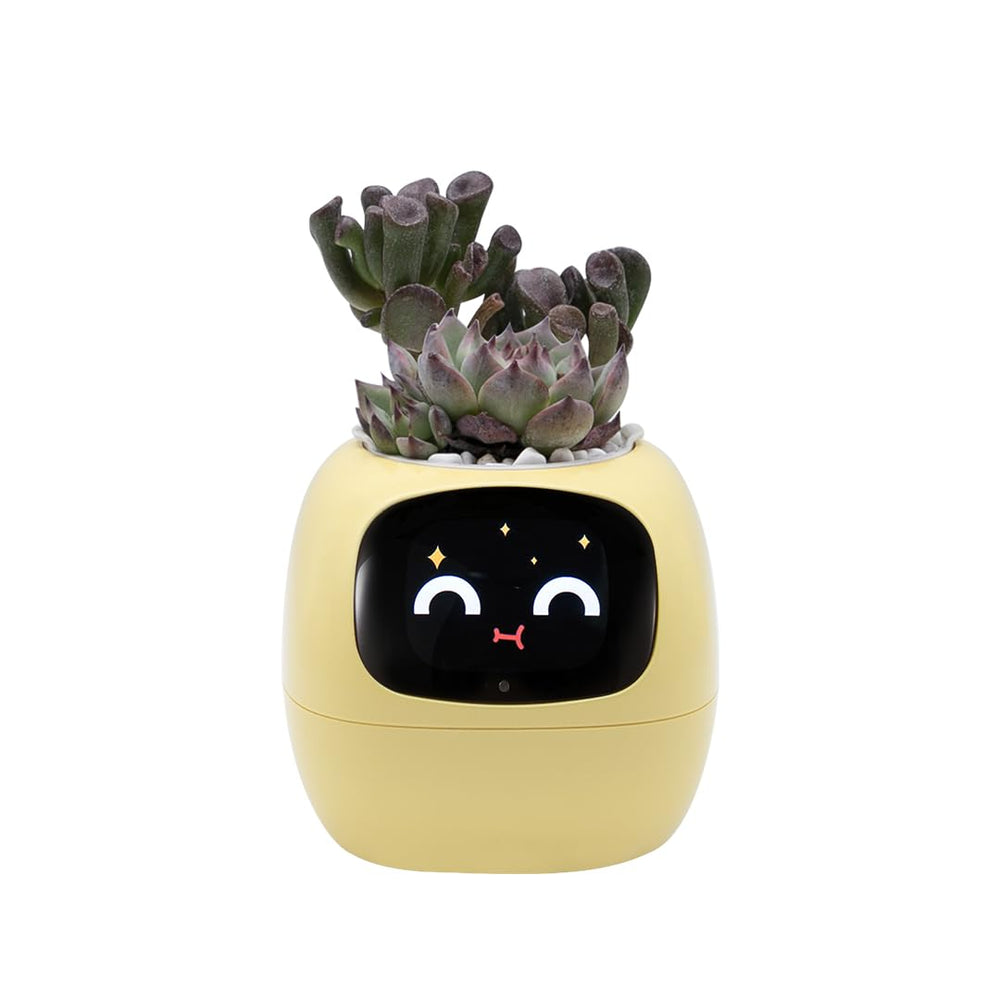 Odpaltoy front view yellow planter showing cheerful expression and smart display benefit