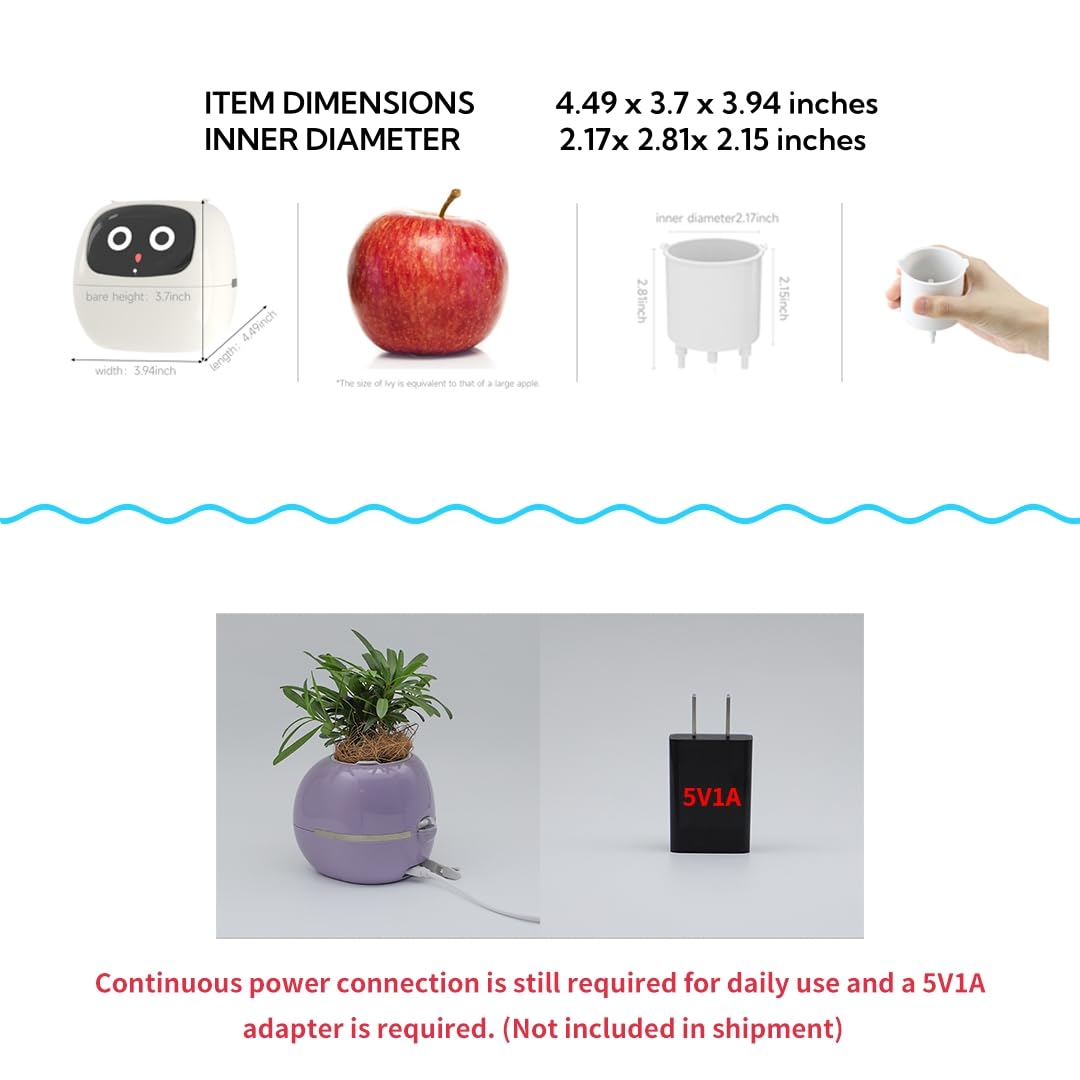 Odpaltoy with ivy plant to show size and scale for small indoor plants