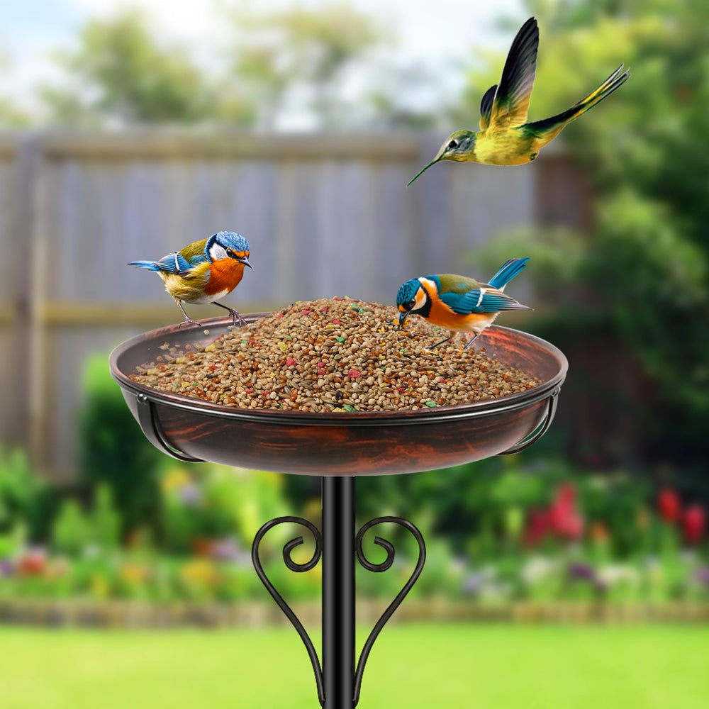 ODSNANIE small bird bathing safely in shallow bowl encouraging visitors