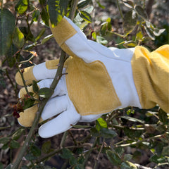 Ogre Outdoor and Garden Supply zipper open to show easy entry and improved ventilation benefit
