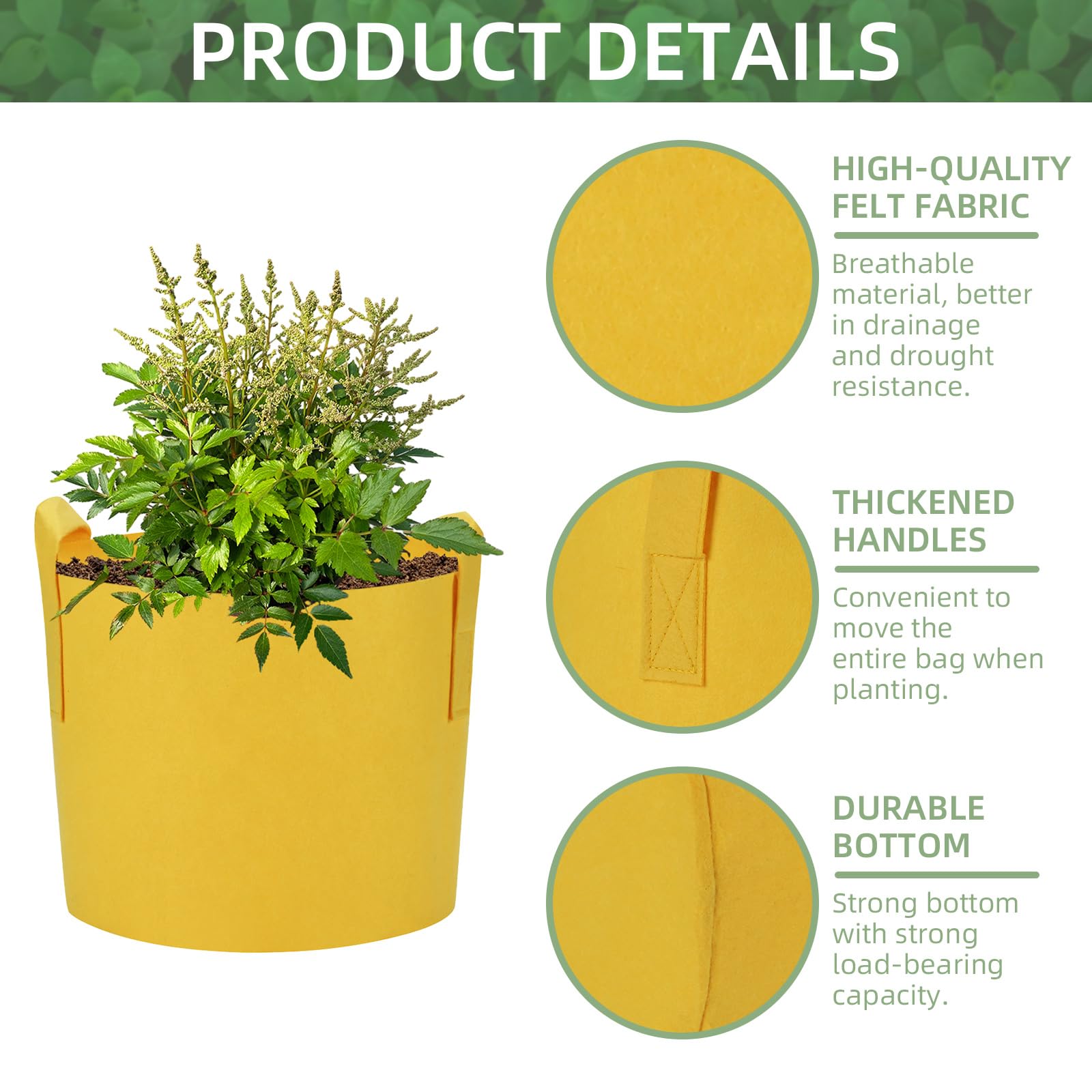 Ohiyoo grow bag in use with potatoes and tomatoes demonstrating productive container gardening