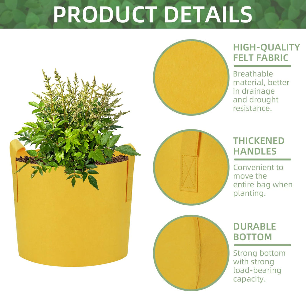 Ohiyoo grow bag in use with potatoes and tomatoes demonstrating productive container gardening