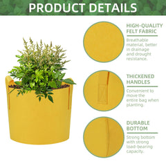 Ohiyoo grow bag in use with potatoes and tomatoes demonstrating productive container gardening