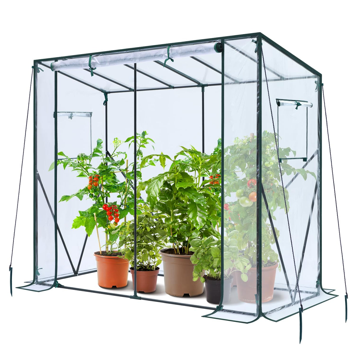 Ohuhu front view of lean-to greenhouse showing compact, protective shelter
