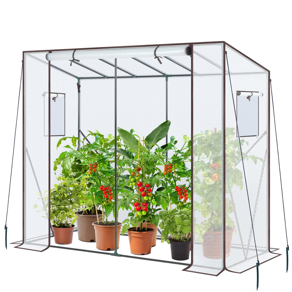 Ohuhu front view of lean-to greenhouse showing protected plants and sunlight benefit