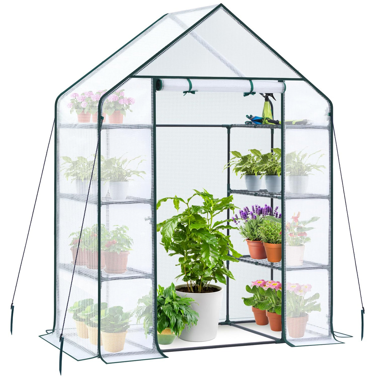 Ohuhu front view of walk-in greenhouse showing full-height door and plant capacity benefit