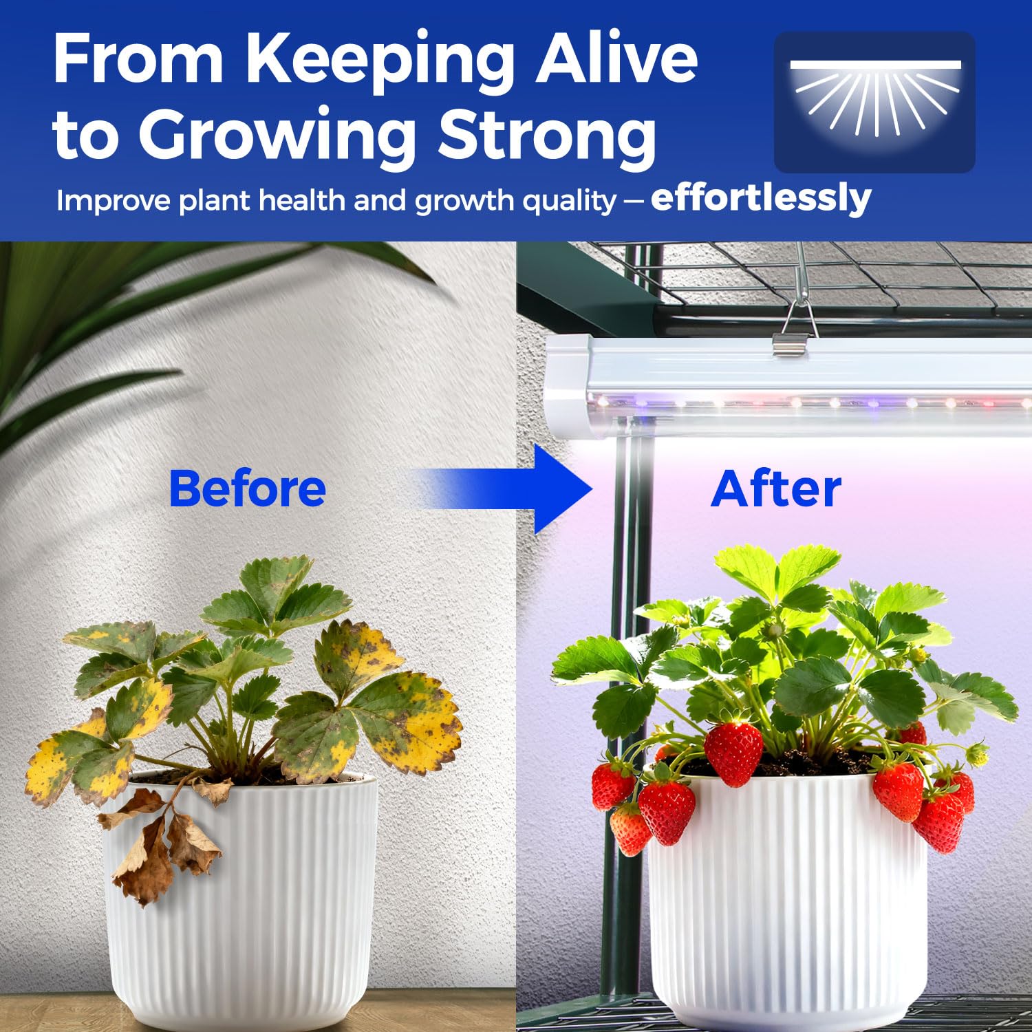Ohuhu PVC cover texture waterproof and UV-resistant protecting plants while transmitting light