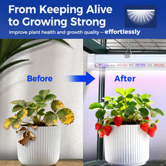 Ohuhu PVC cover texture waterproof and UV-resistant protecting plants while transmitting light