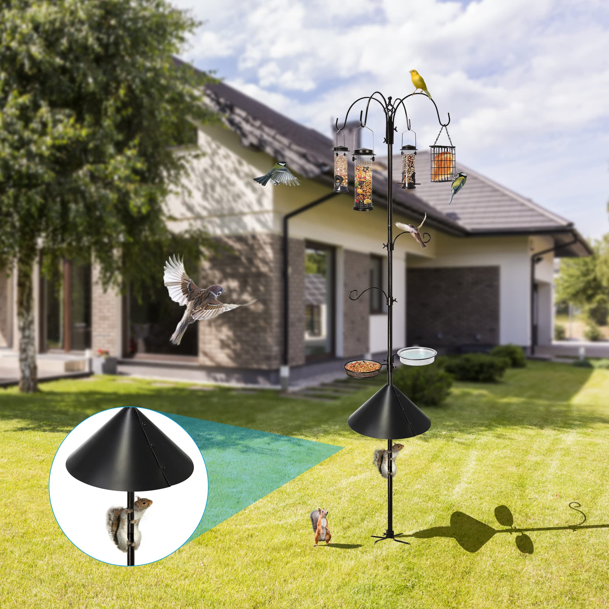 Ointo Garden feeding station in backyard setting attracting birds and enhancing outdoor enjoyment